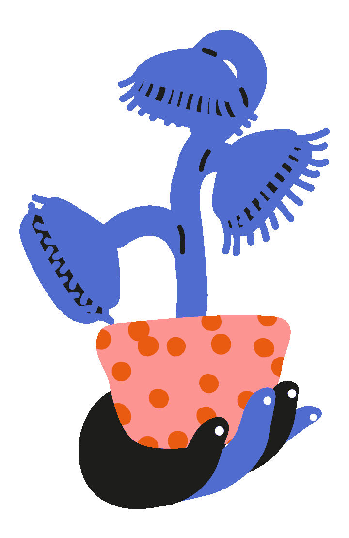 Plant